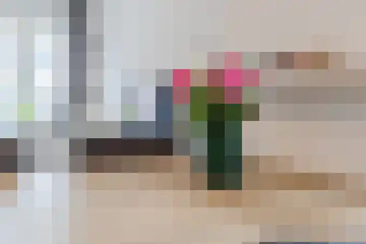 Hoofdstraat 7 C Rijen thumbnail 8