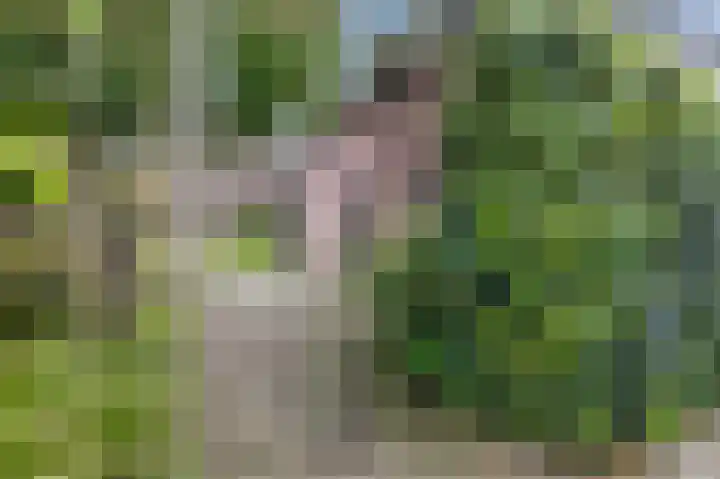 Hoofdstraat 7 Drouwen thumbnail 60