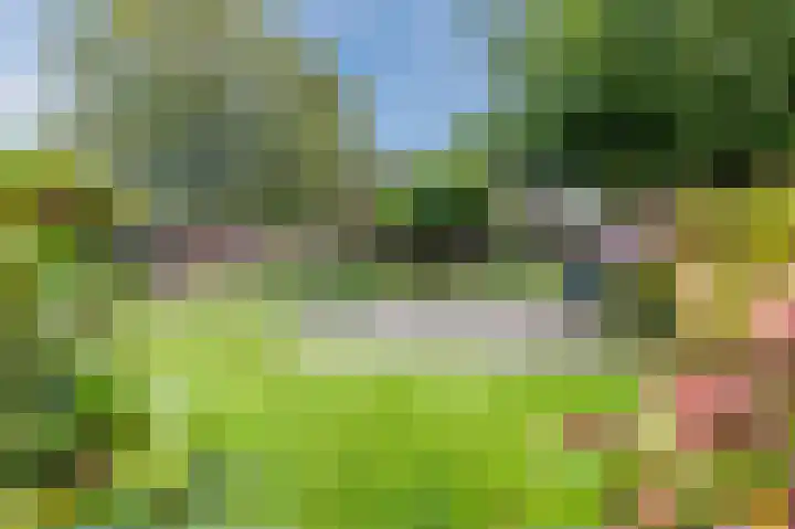 Hoofdstraat 7 Drouwen thumbnail 68