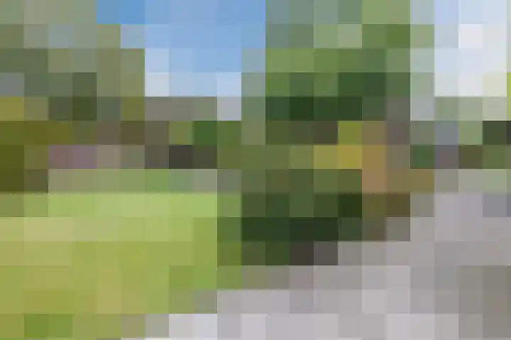 Hoofdstraat 7 Drouwen thumbnail 70