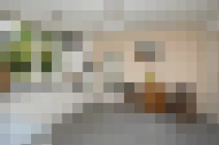 Hoofdstraat 7 Ekehaar thumbnail 12