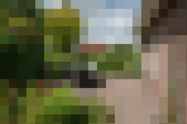 Hoofdstraat 7 Ekehaar thumbnail 43