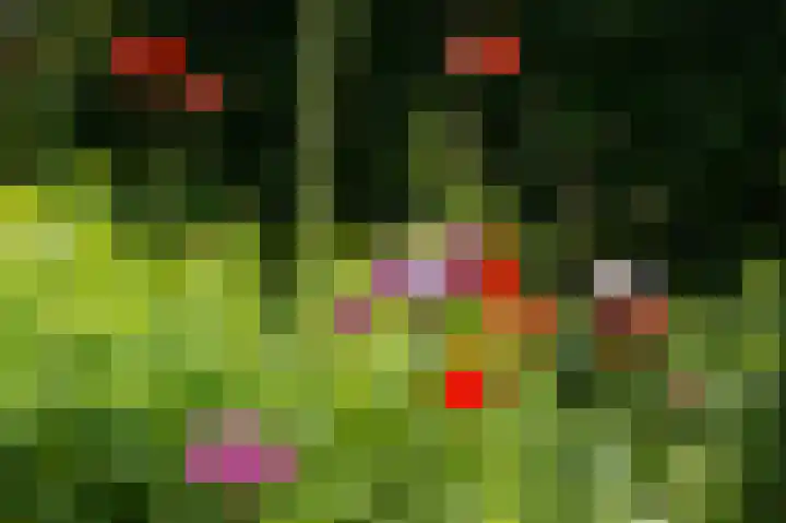 Hoofdstraat 7 Ekehaar thumbnail 44