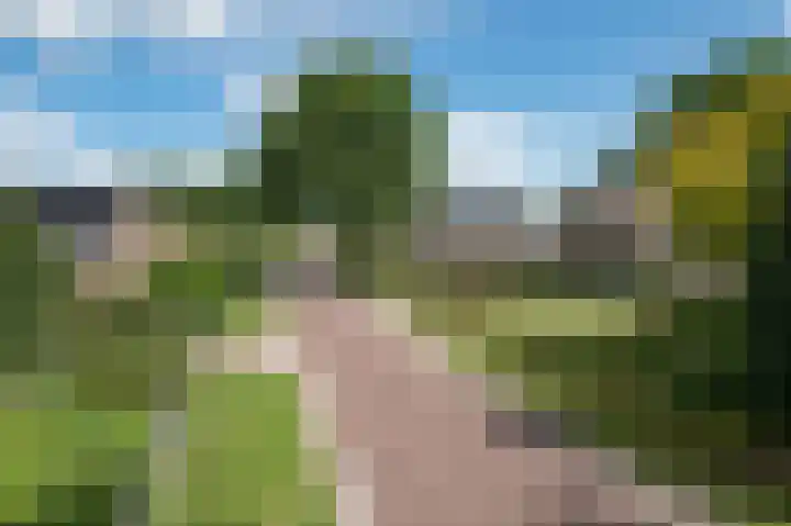 Hoofdstraat 7 Ekehaar thumbnail 54