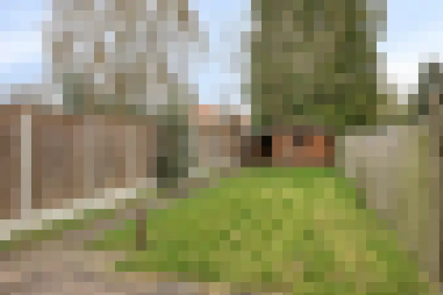 Hoofdstraat 7 Overdinkel thumbnail 25