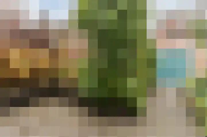 Hoofdstraat 70 Bovenkarspel thumbnail 50