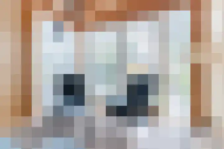 Hoofdstraat 70 Bovenkarspel thumbnail 56