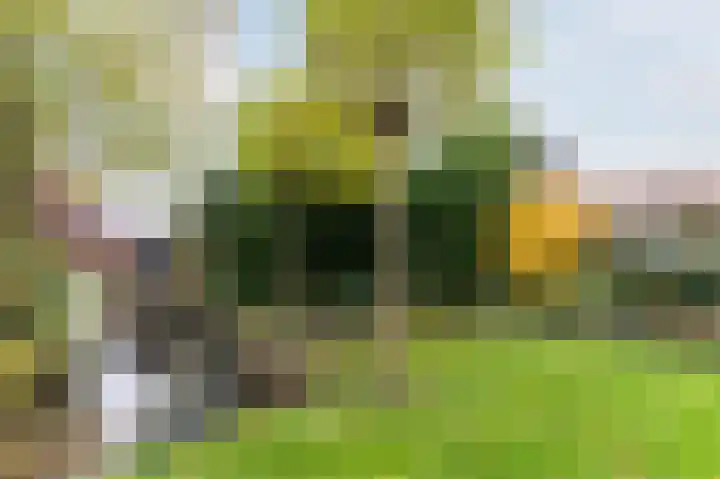 Hoofdstraat 70 Bovenkarspel thumbnail 62