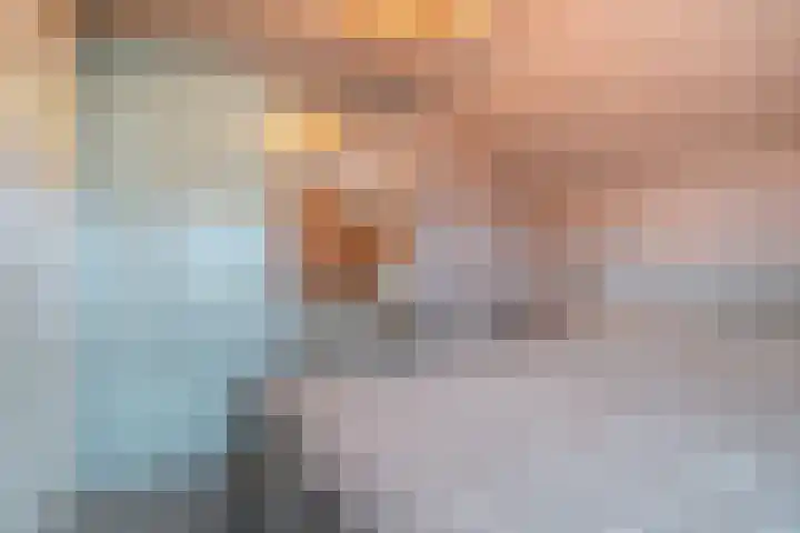 Hoofdstraat 70 Meerlo thumbnail 19