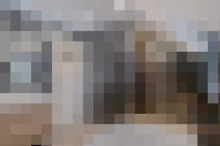 Hoofdstraat 70 Meerlo thumbnail 24