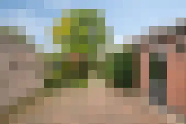 Hoofdstraat 70 Meerlo thumbnail 26