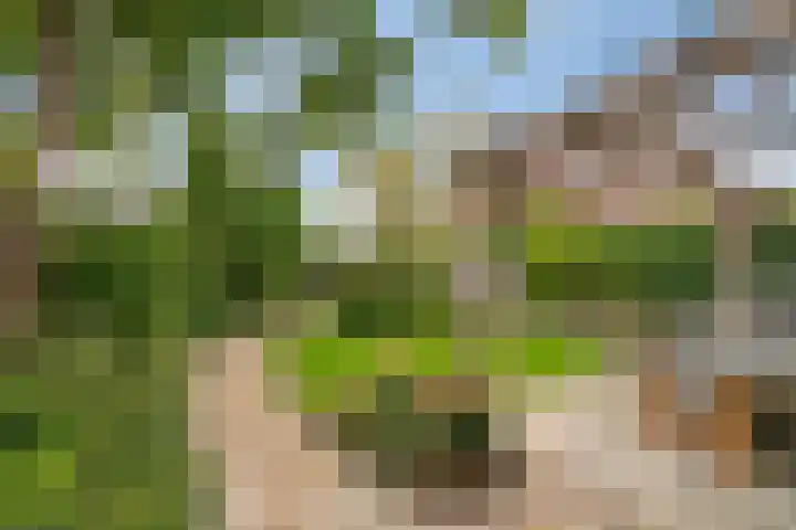Hoofdstraat 70 Meerlo thumbnail 27