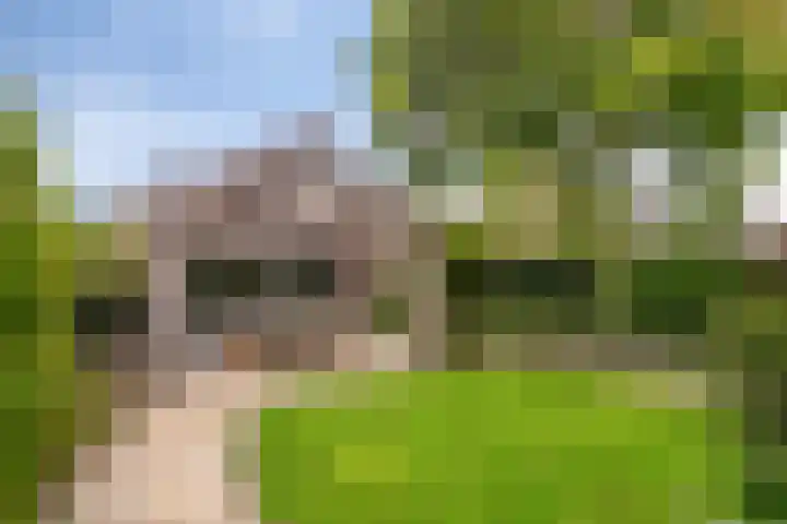 Hoofdstraat 70 Meerlo thumbnail 29
