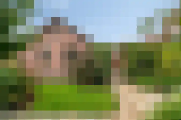 Hoofdstraat 70 Meerlo thumbnail 31