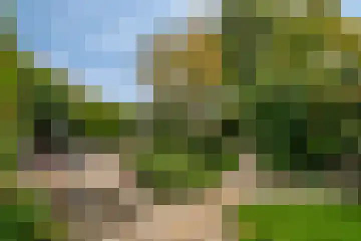 Hoofdstraat 70 Meerlo thumbnail 32