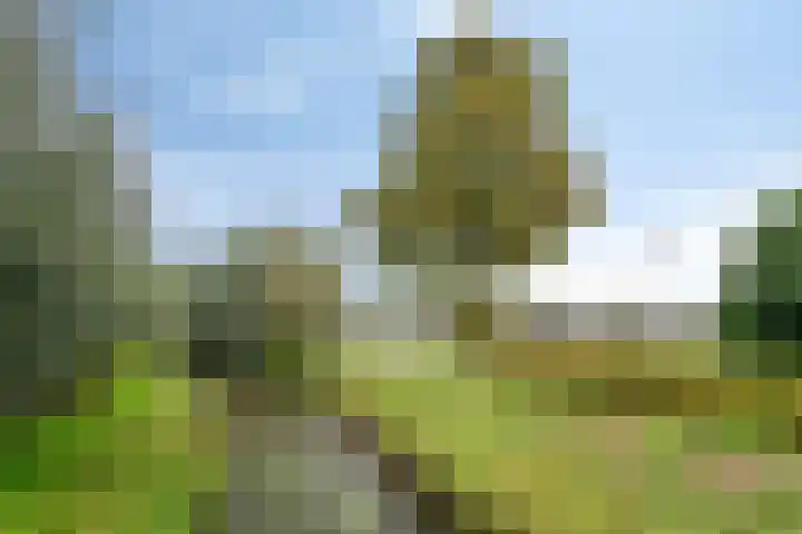 Hoofdstraat 70 Meerlo thumbnail 39