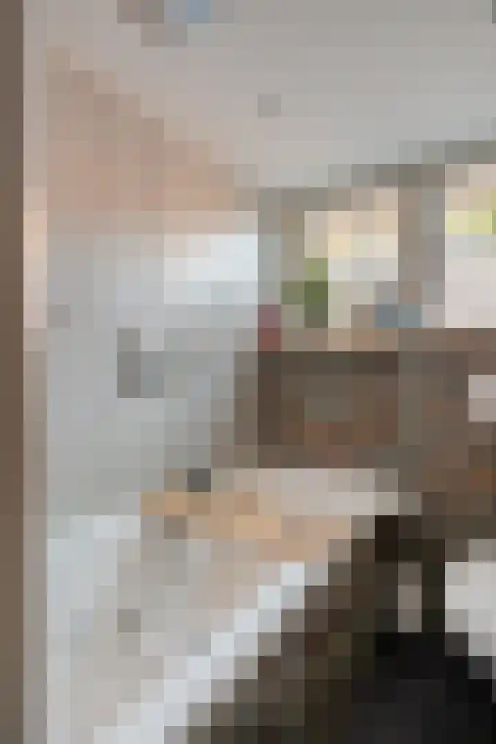 Hoofdstraat 71 Oldemarkt thumbnail 31