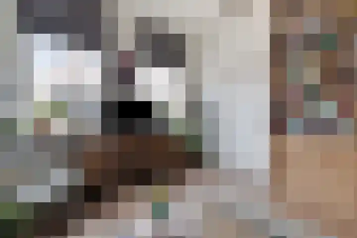 Hoofdstraat 71 Oldemarkt thumbnail 7