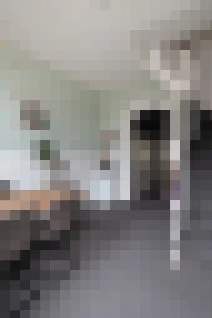 Hoofdstraat 71 Oldemarkt thumbnail 8