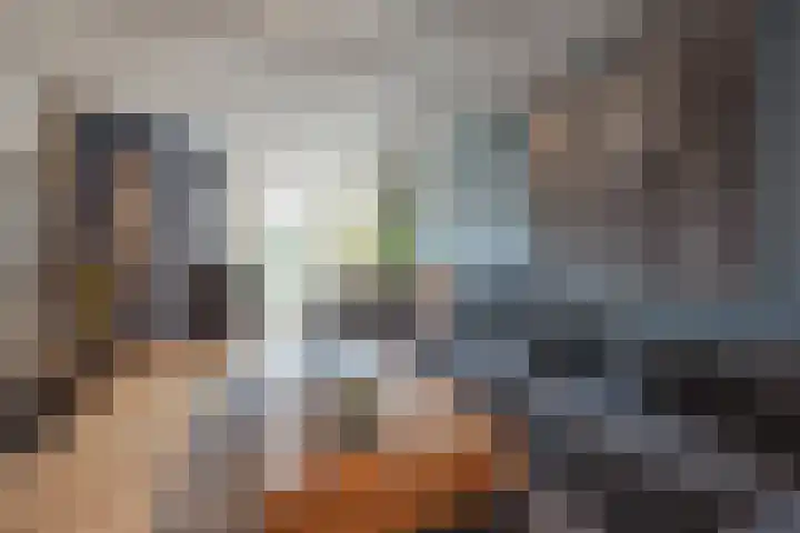 Hoofdstraat 71 Sprang-Capelle thumbnail 20