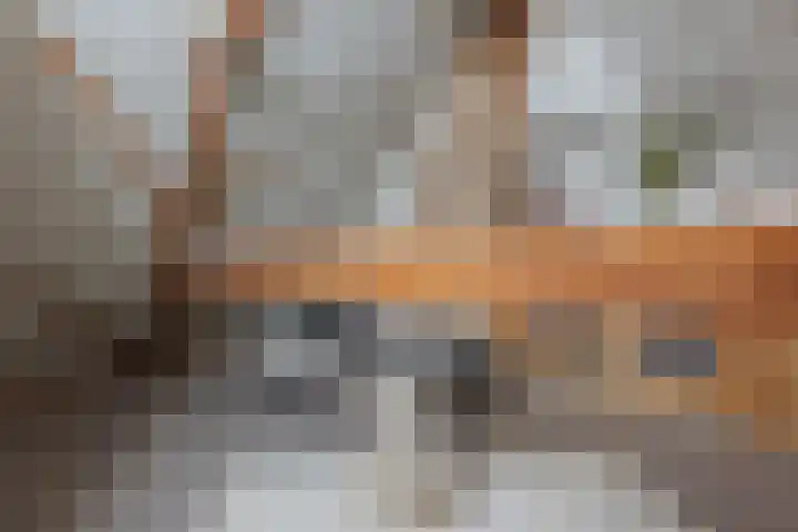 Hoofdstraat 71 Sprang-Capelle thumbnail 34