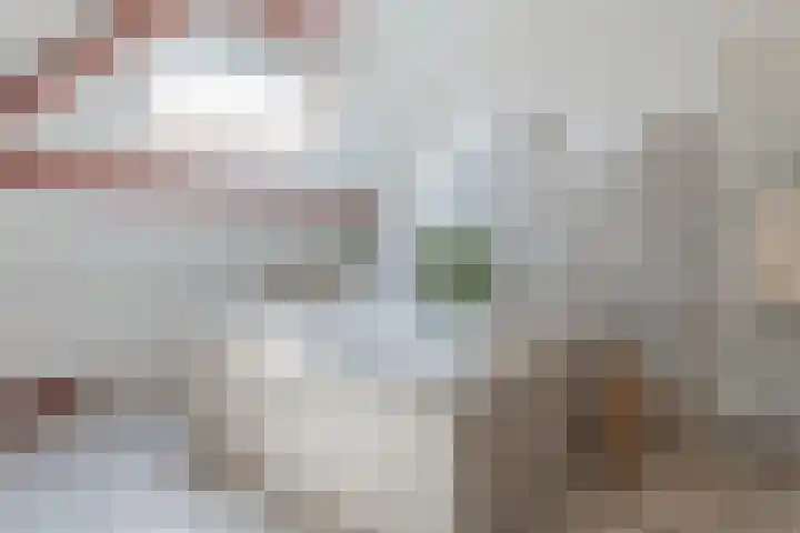 Hoofdstraat 71 Sprang-Capelle thumbnail 37