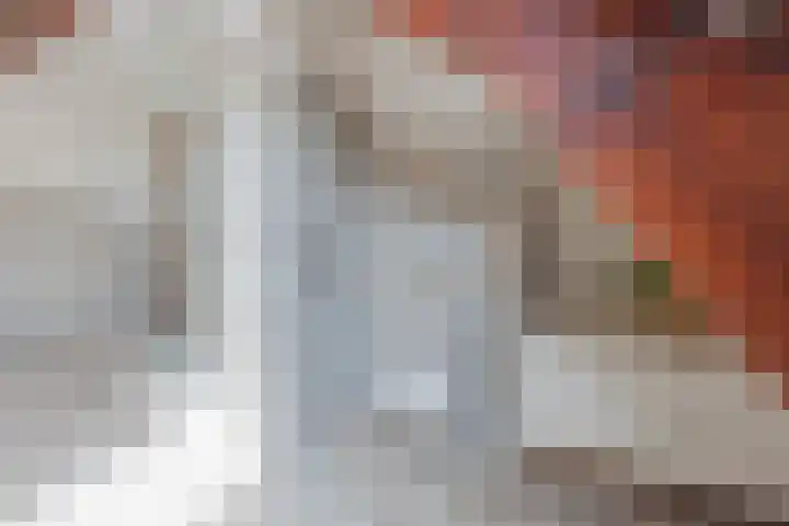 Hoofdstraat 71 Sprang-Capelle thumbnail 40