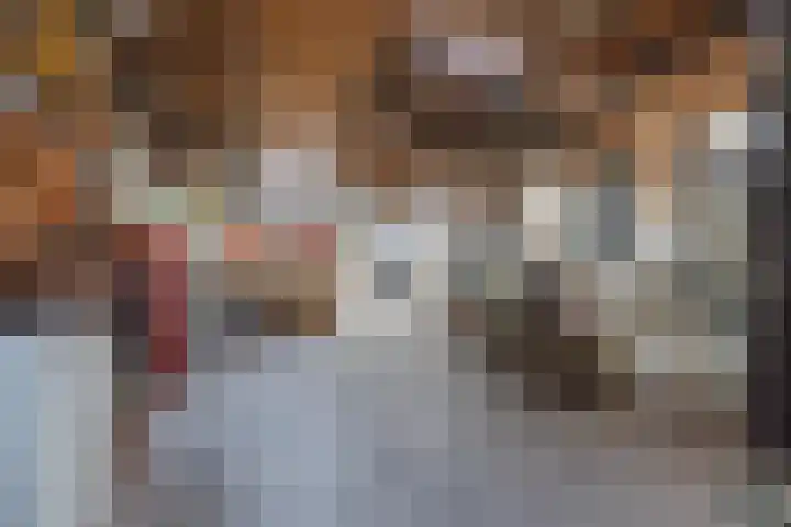 Hoofdstraat 71 Sprang-Capelle thumbnail 47