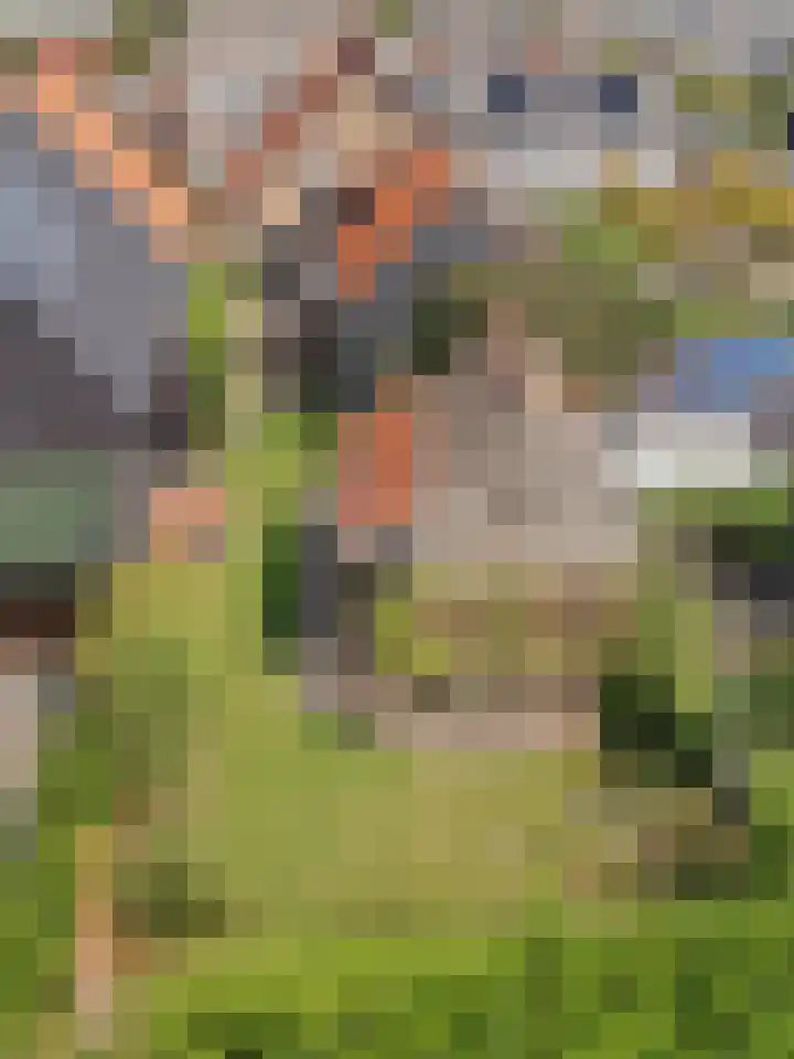 Hoofdstraat 71 Sprang-Capelle thumbnail 5