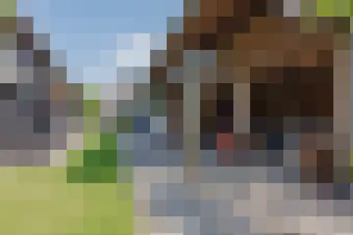 Hoofdstraat 71 Sprang-Capelle thumbnail 53
