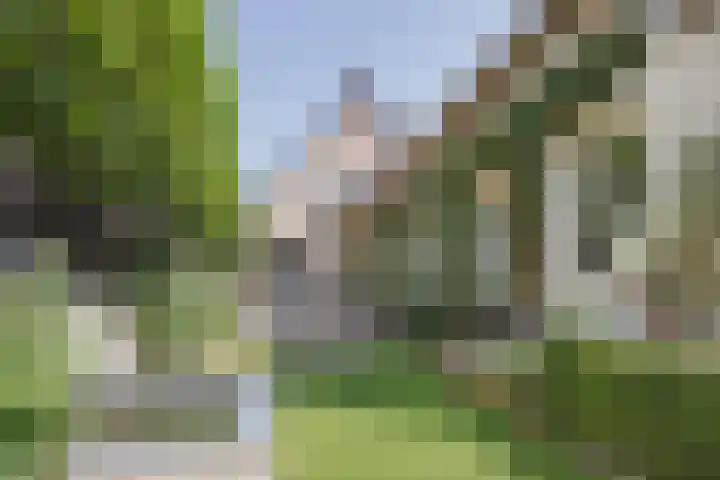 Hoofdstraat 71 Sprang-Capelle thumbnail 56