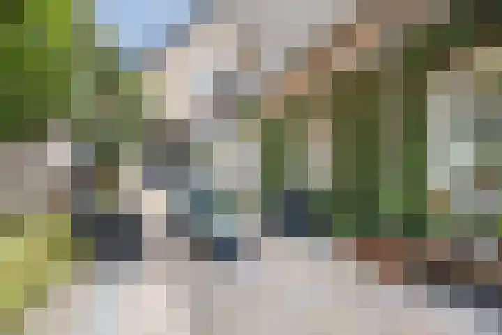 Hoofdstraat 71 Sprang-Capelle thumbnail 57