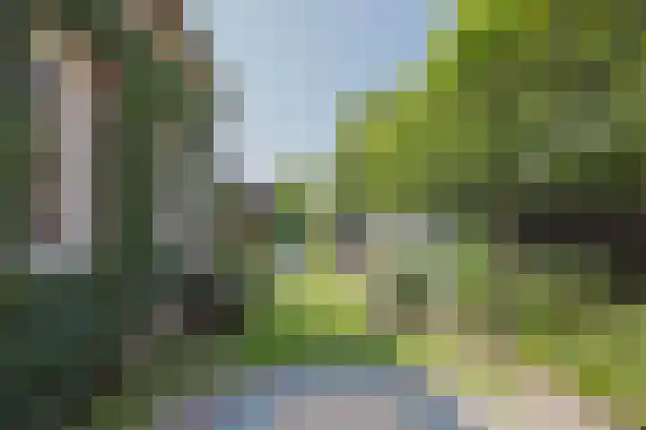 Hoofdstraat 71 Sprang-Capelle thumbnail 58