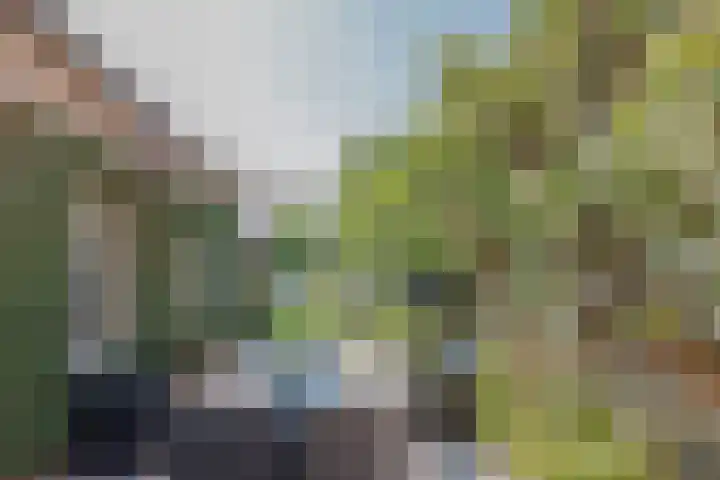Hoofdstraat 71 Sprang-Capelle thumbnail 59