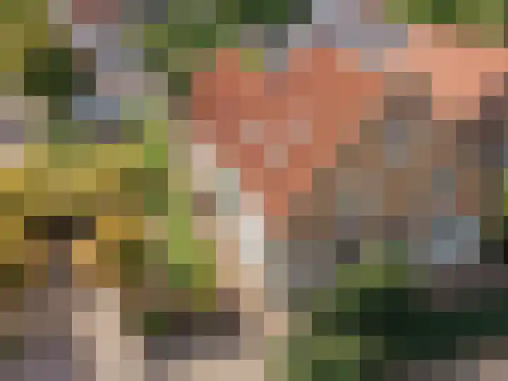 Hoofdstraat 71 Sprang-Capelle thumbnail 6
