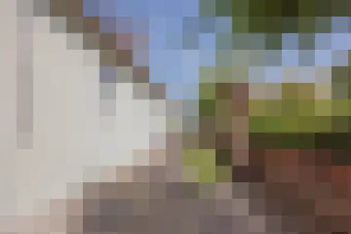 Hoofdstraat 71 Sprang-Capelle thumbnail 62
