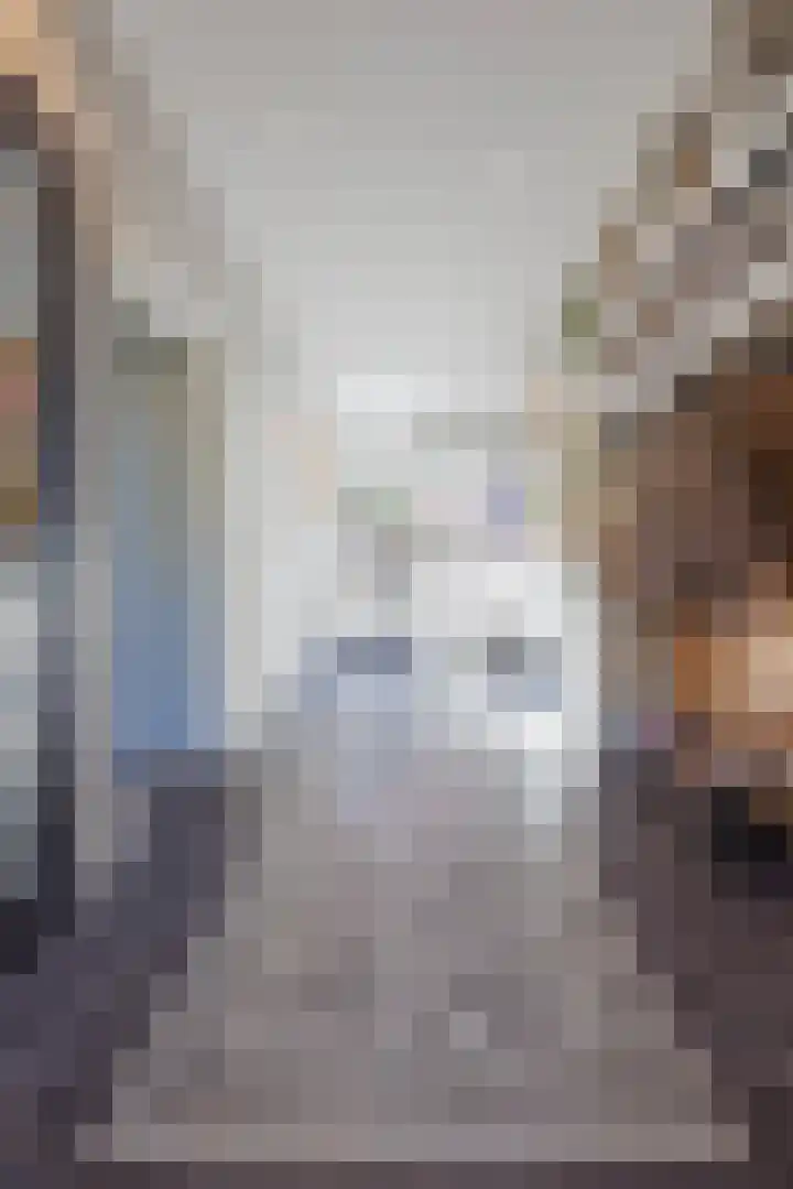 Hoofdstraat 71 Sprang-Capelle thumbnail 64
