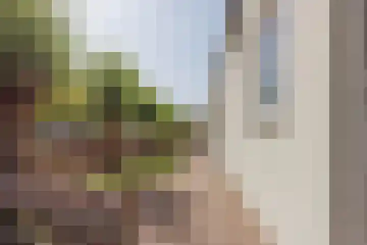 Hoofdstraat 71 Sprang-Capelle thumbnail 66