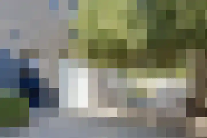 Hoofdstraat 71 Sprang-Capelle thumbnail 68