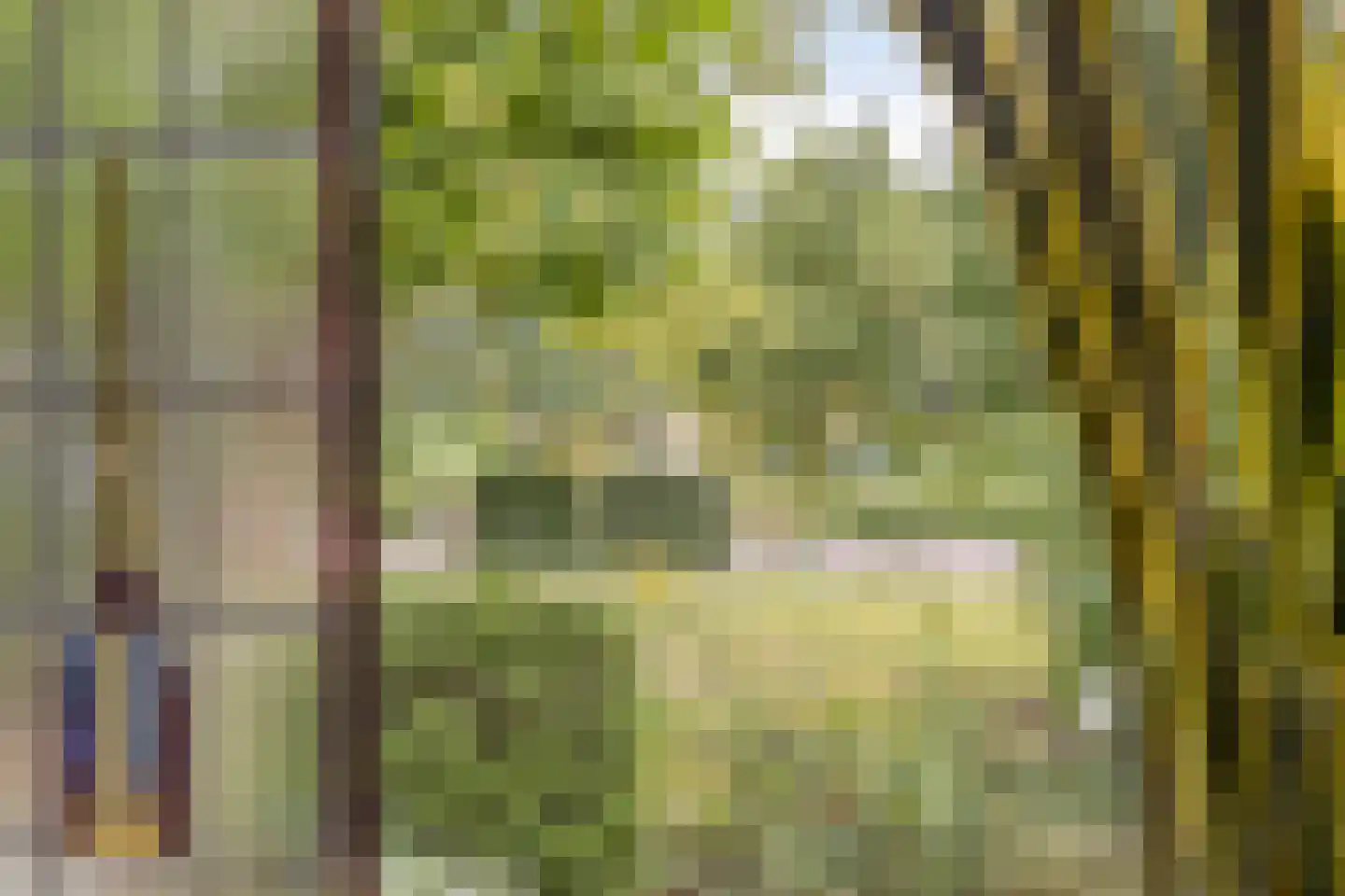 Hoofdstraat 72 Gaanderen thumbnail 23