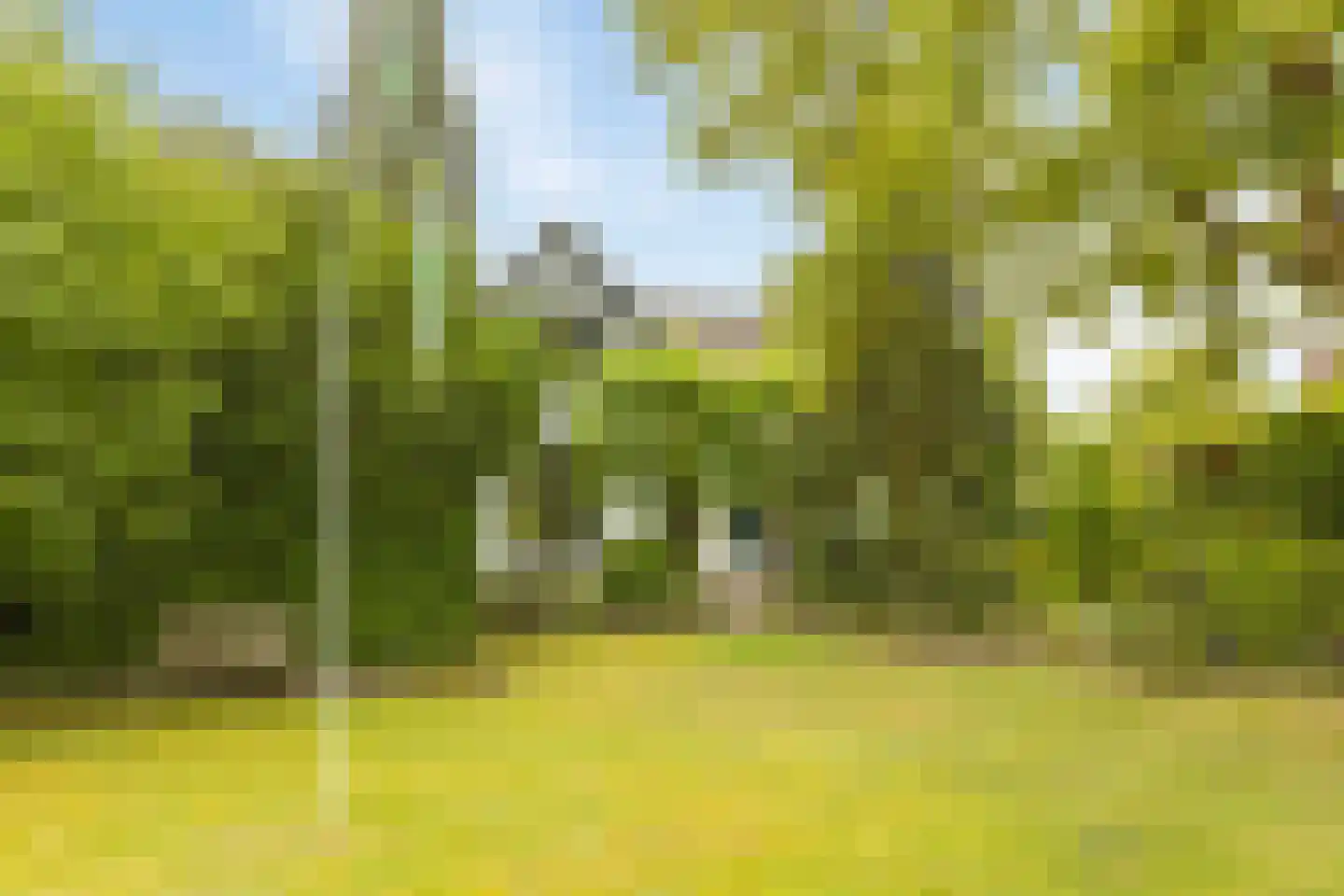 Hoofdstraat 72 Gaanderen thumbnail 46