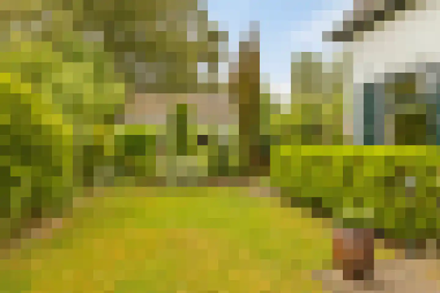 Hoofdstraat 72 Gaanderen thumbnail 47