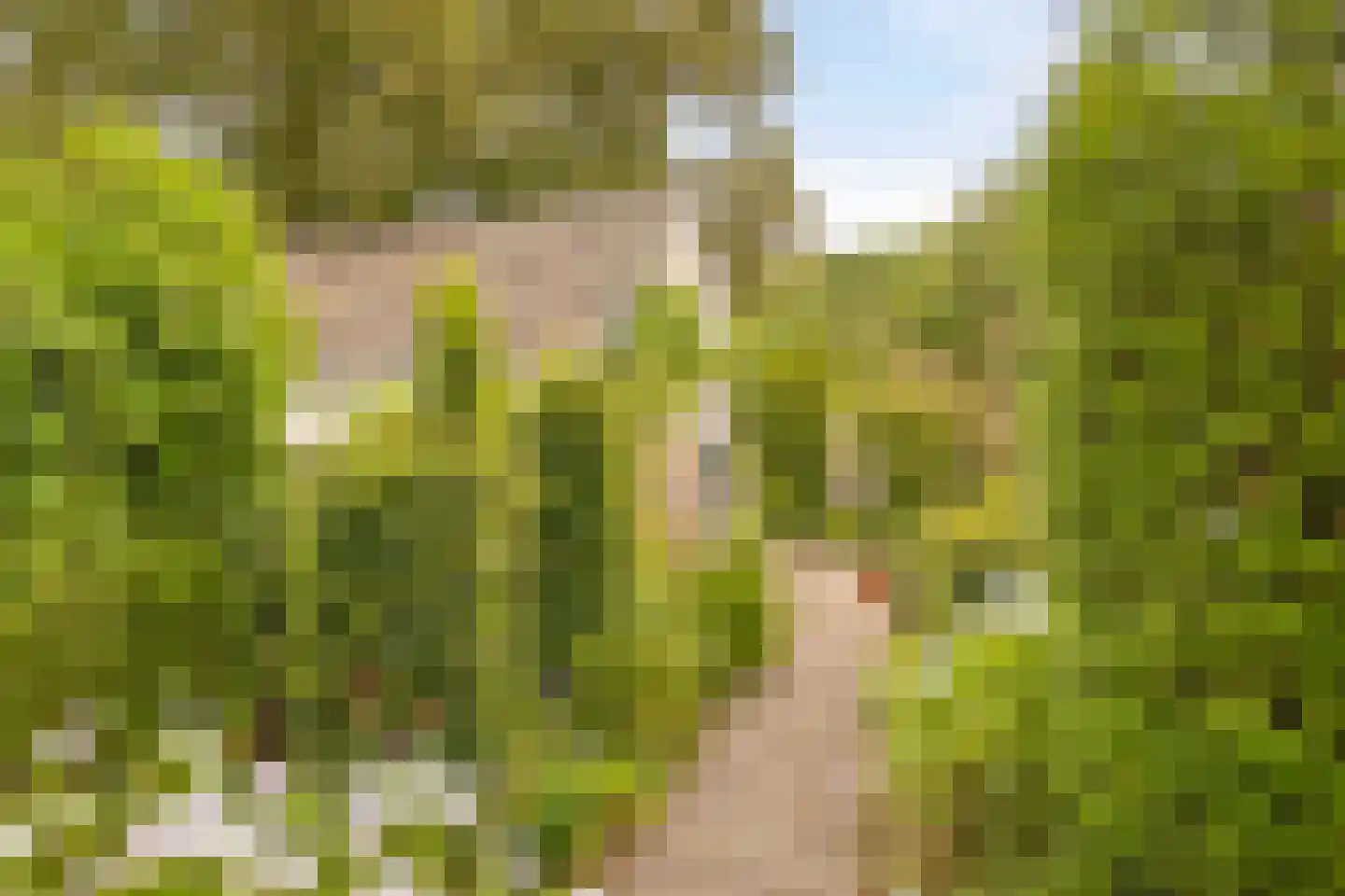 Hoofdstraat 72 Gaanderen thumbnail 49