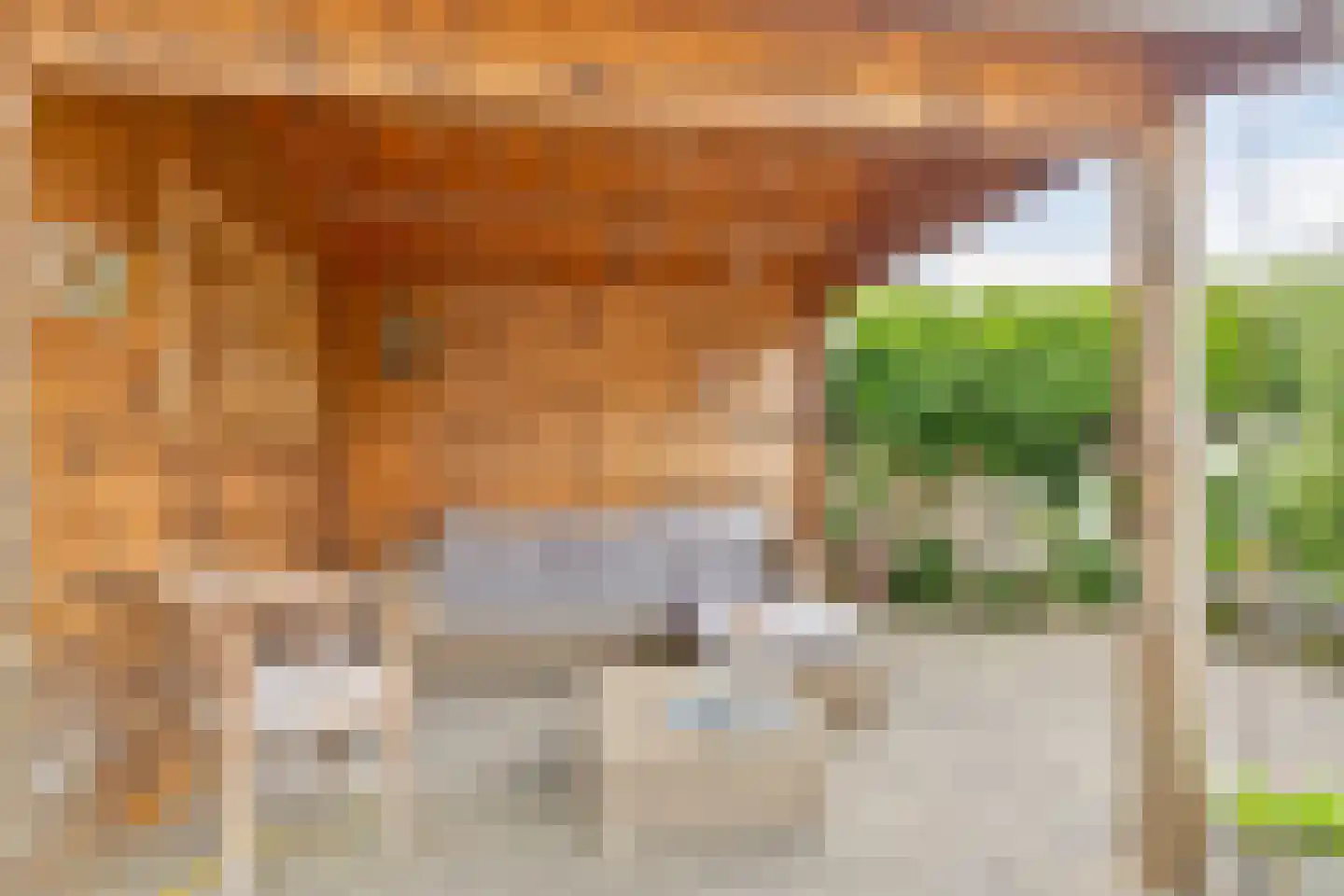 Hoofdstraat 72 Gaanderen thumbnail 5