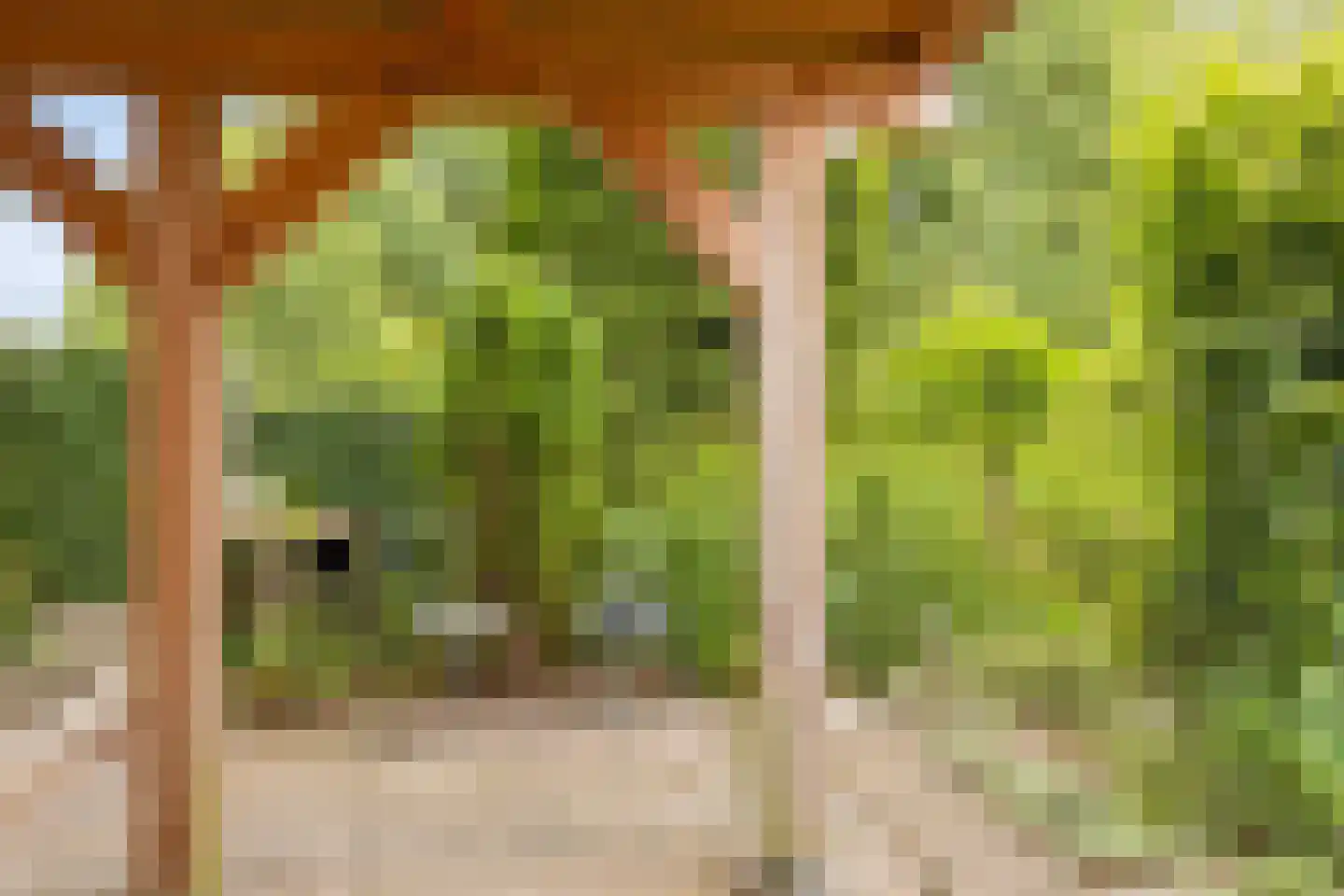 Hoofdstraat 72 Gaanderen thumbnail 55