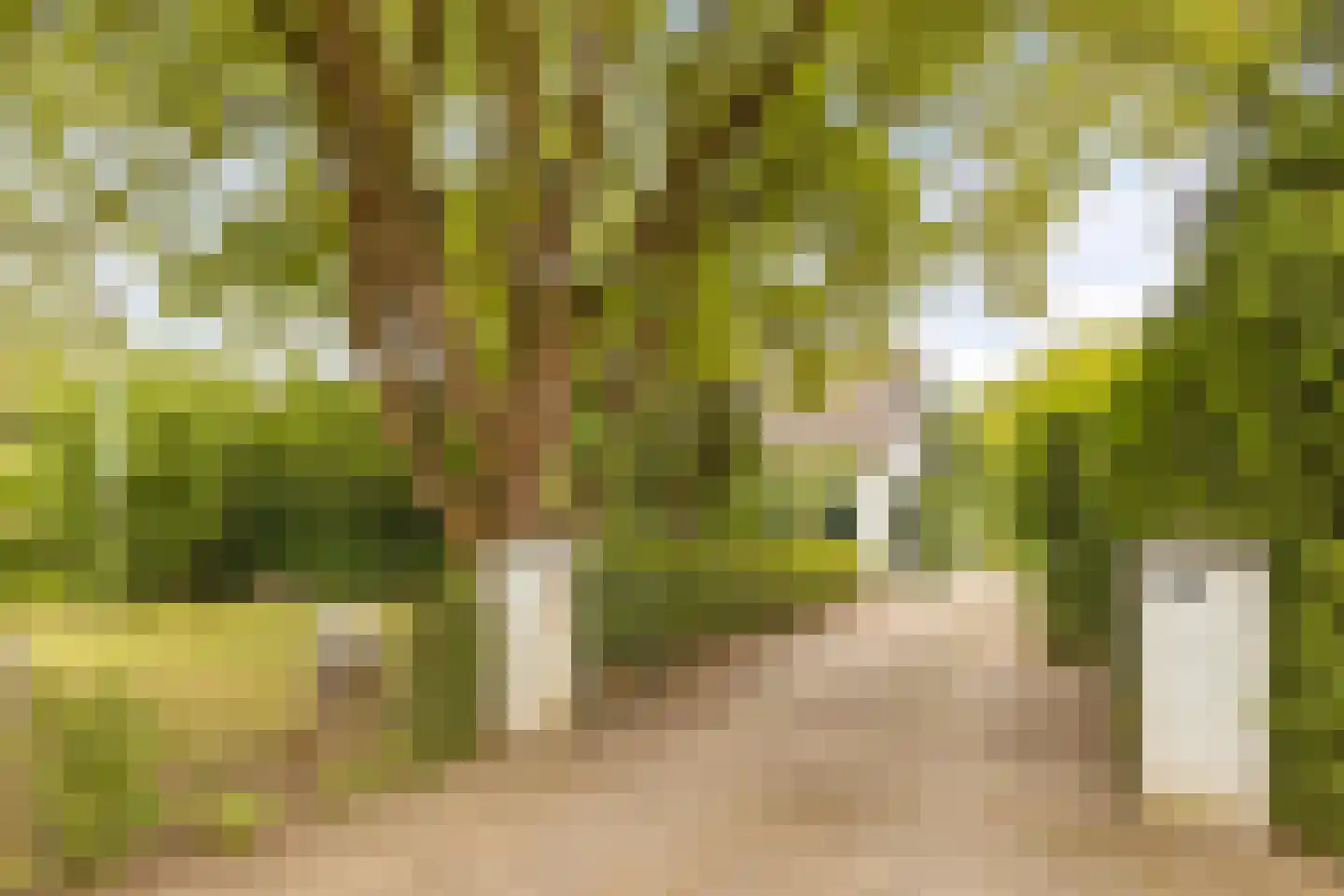 Hoofdstraat 72 Gaanderen thumbnail 58