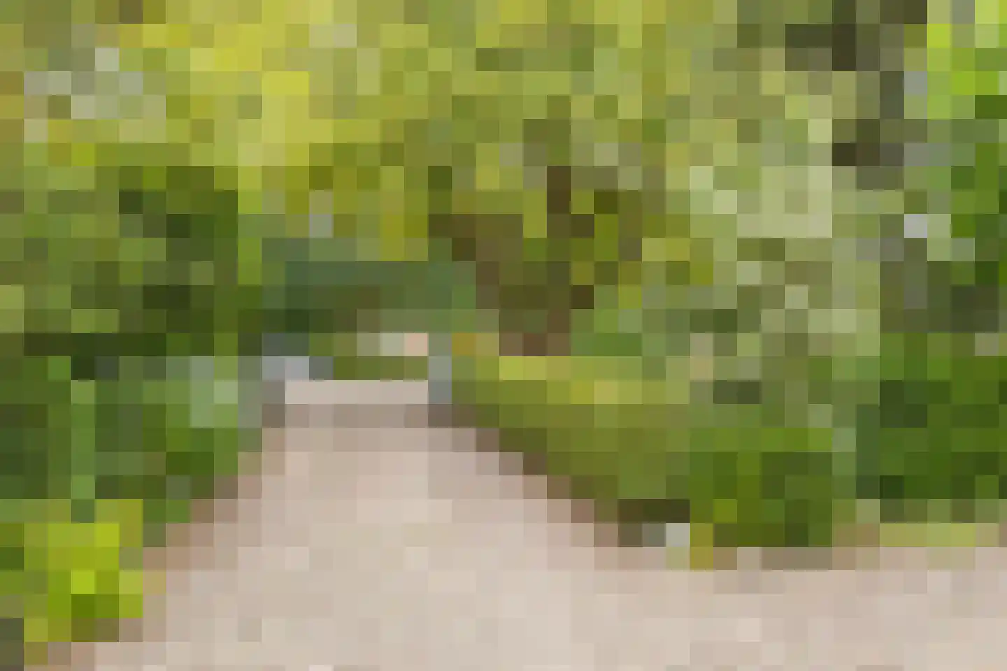 Hoofdstraat 72 Gaanderen thumbnail 59