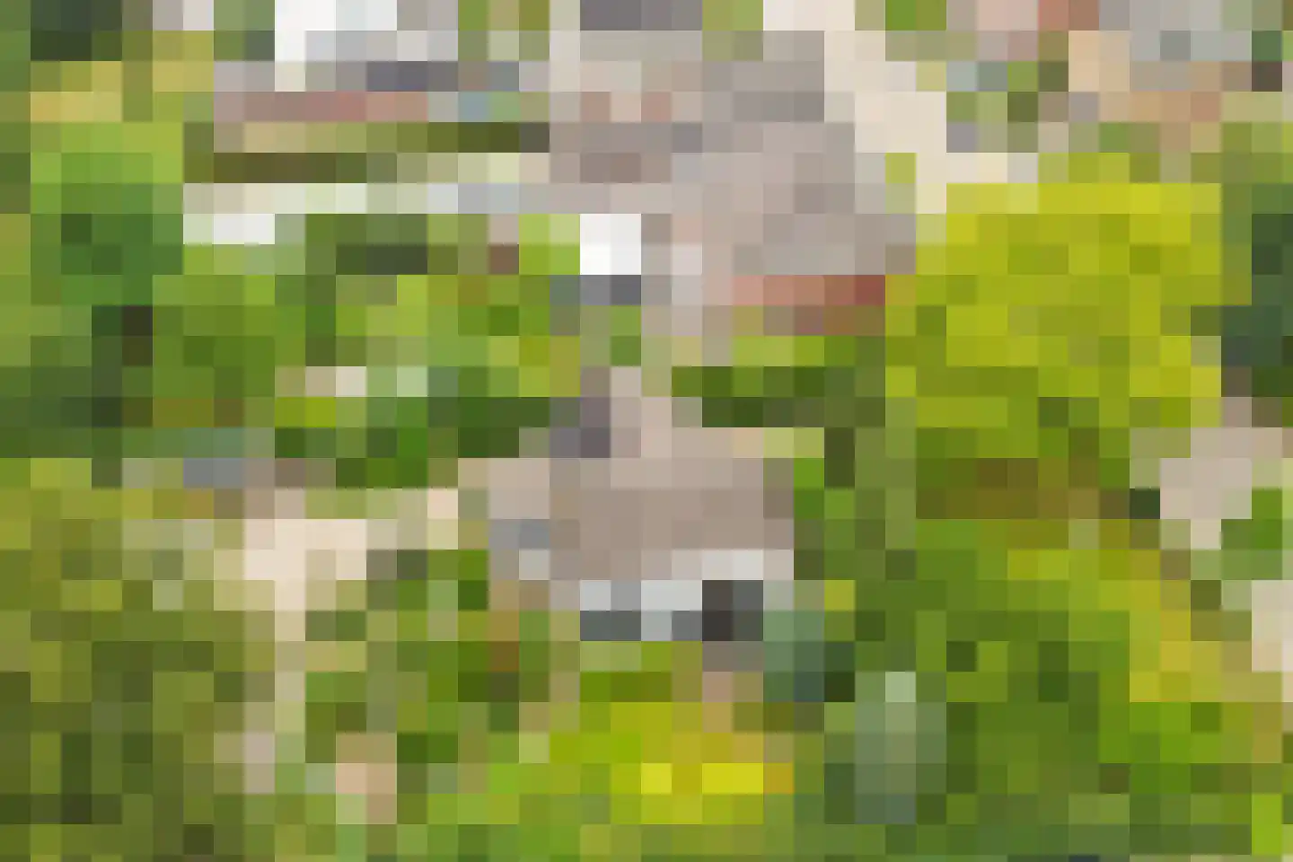 Hoofdstraat 72 Gaanderen thumbnail 60