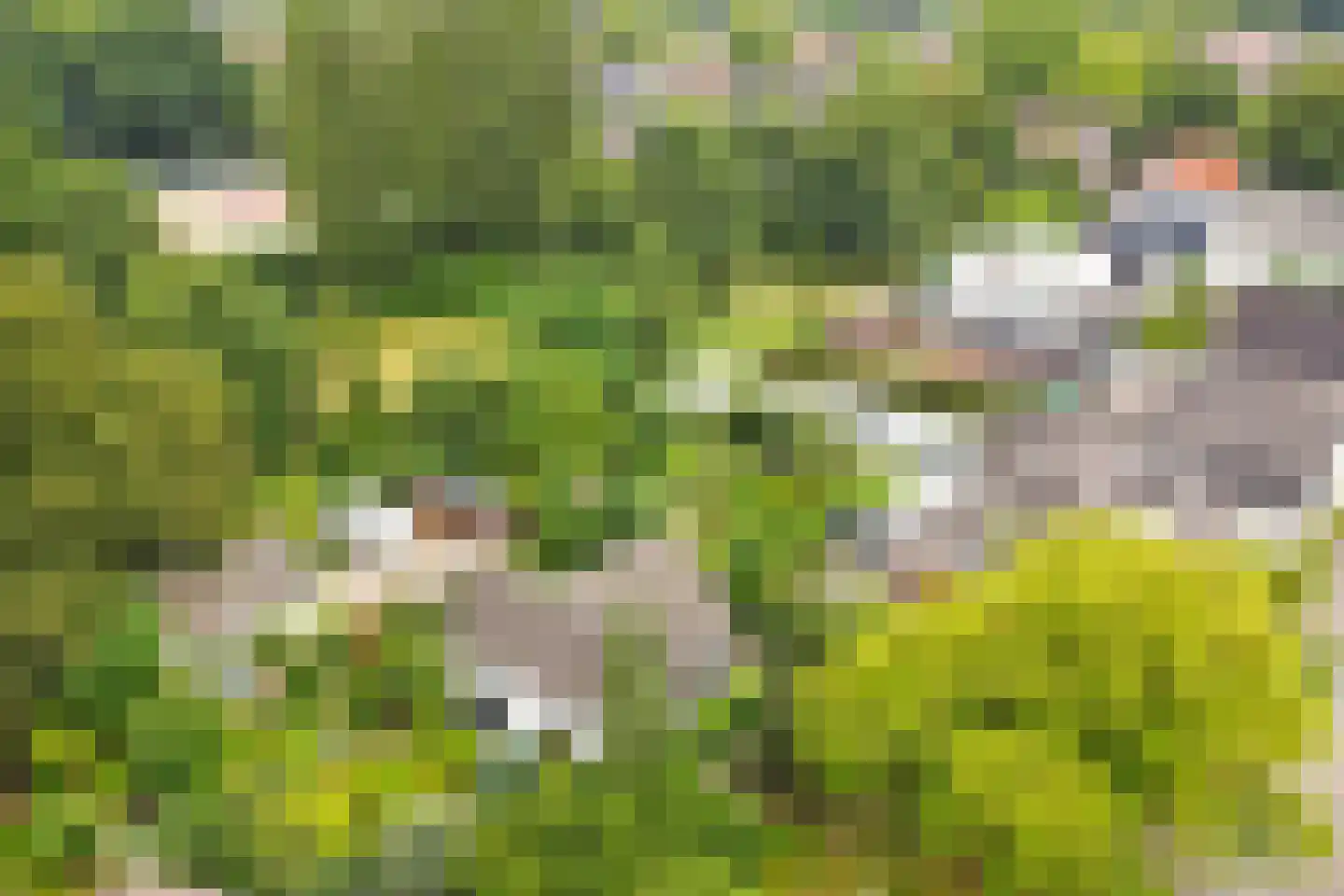 Hoofdstraat 72 Gaanderen thumbnail 63