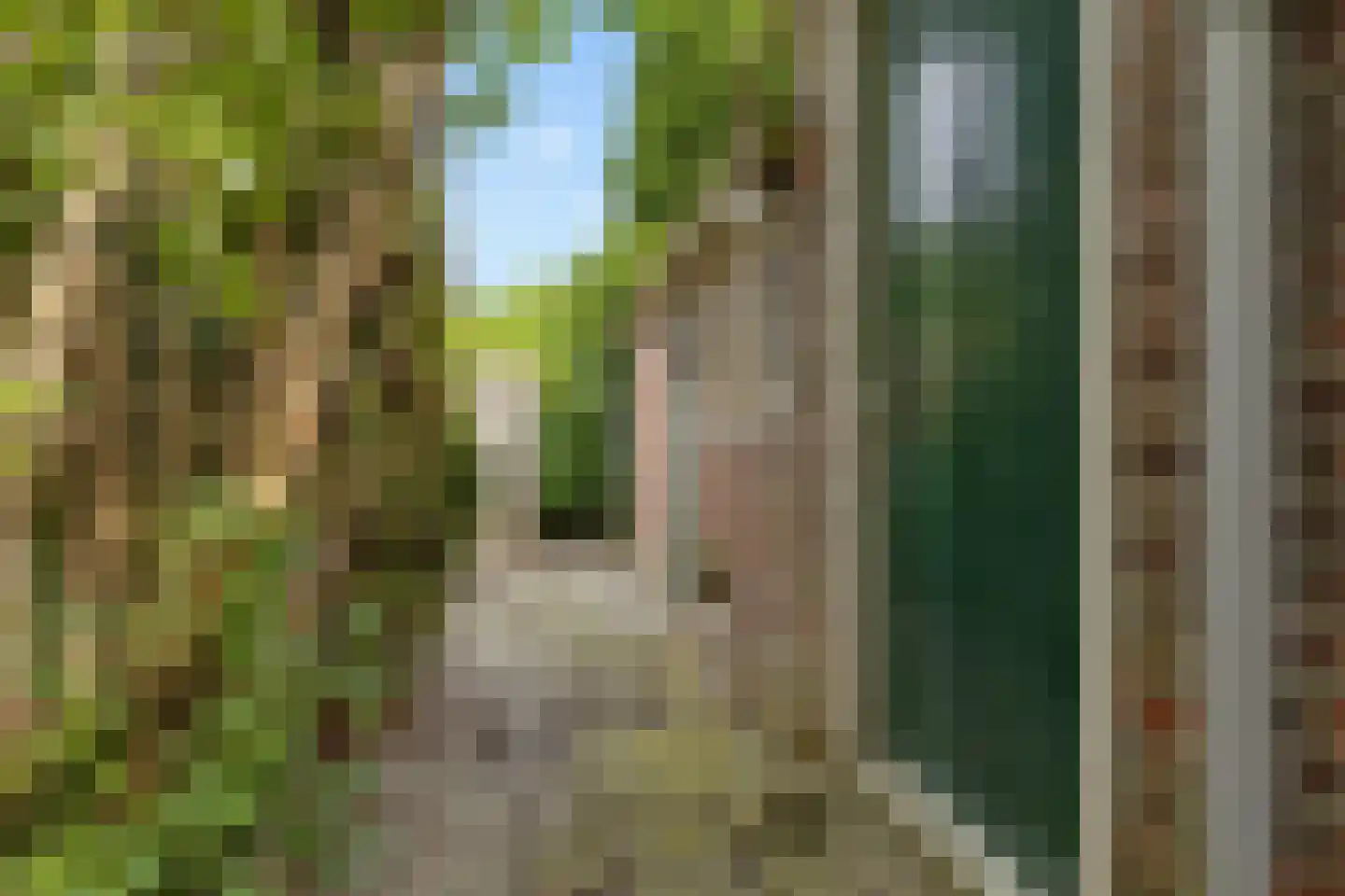 Hoofdstraat 73 Nieuwolda thumbnail 12